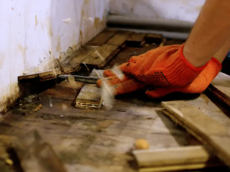 Mold abatement and prevention Springdale KS