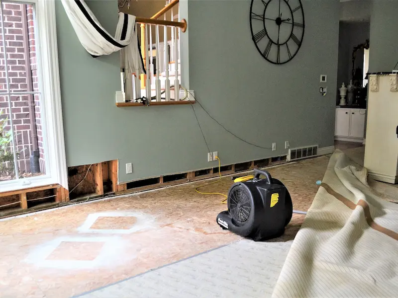 Mold remediation contractor Springdale KS
